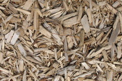 biomass boilers Capel Iwan